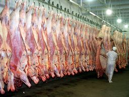 El aumento del valor promedio por tonelada permitió que las exportaciones de carne vacuna generaran ingresos récord en los primeros meses del año. El aumento del valor promedio por tonelada permitió que las exportaciones de carne vacuna generaran ingresos récord en los primeros meses del año.