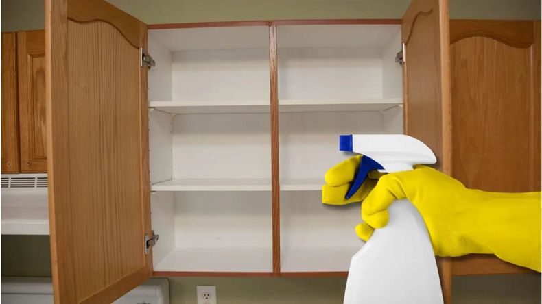 El vinagre ayuda a desinfectar superficies, neutralizar olores y prevenir la aparición de insectos y hongos. | LM Neuquen El vinagre ayuda a desinfectar superficies, neutralizar olores y prevenir la aparición de insectos y hongos.