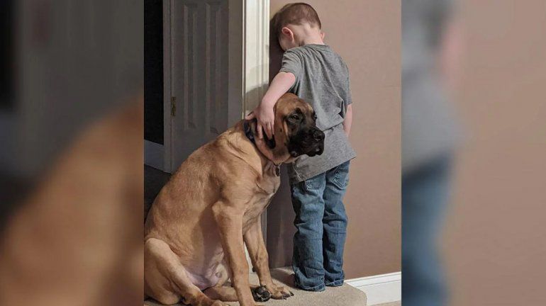 En las buenas y en las malas: un nene cumplió penitencia junto a su perro