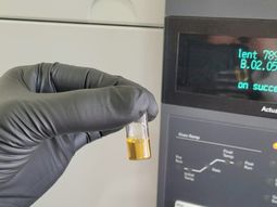 Impulsan al análisis de aceites de cannabis en la Patagonia Impulsan al análisis de aceites de cannabis en la Patagonia