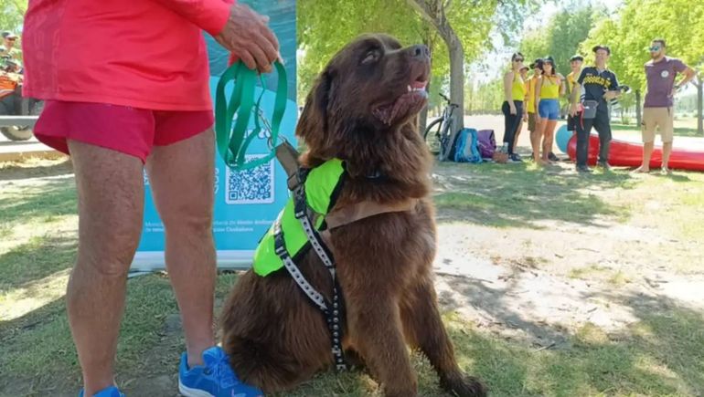 El guardián de chocolate participó de la presentación de la Temporada de Verano. El guardián de chocolate participó de la presentación de la Temporada de Verano.