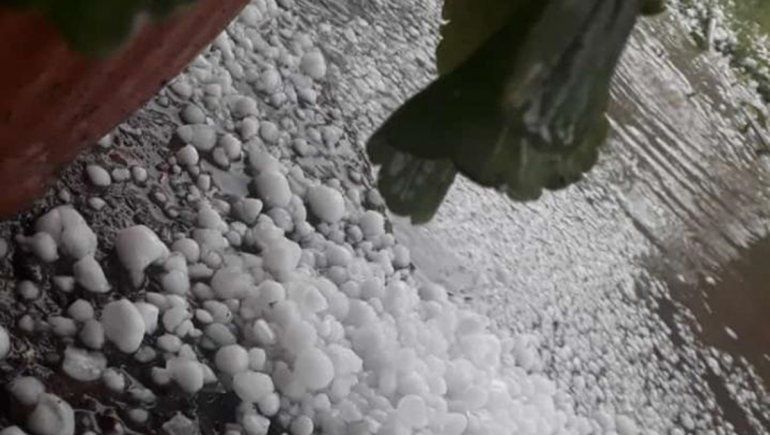 Fuerte granizada afectó un sector del cordón frutícola del Valle