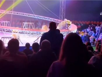 El hecho tuvo lugar en el circo de la dinastía Dovgaluk, en Rusia. El hecho tuvo lugar en el circo de la dinastía Dovgaluk, en Rusia.