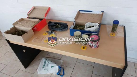 Lo atraparon con cargamento de marihuana en el puente