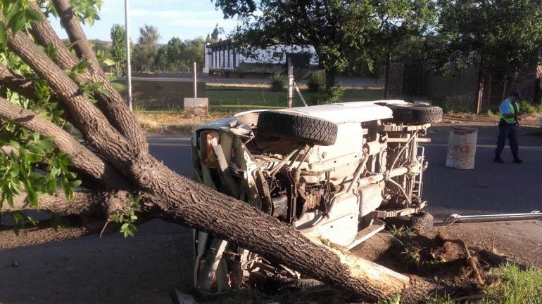 Borracho, arrancó un árbol con su camioneta y volcó