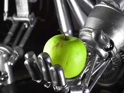 La inteligencia artificial aplicada a la fruticultura tiene un desarrollo que, hasta ahora, pareciera no tener límites. La inteligencia artificial aplicada a la fruticultura tiene un desarrollo que, hasta ahora, pareciera no tener límites.
