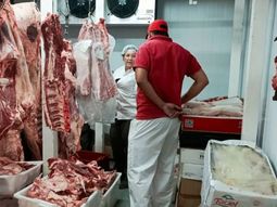 decomisaron 650 kilos de carne en mal estado en carnicerias de plottier decomisaron 650 kilos de carne en mal estado en carnicerias de plottier