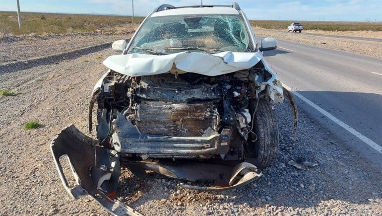 Chocó su camioneta contra un ternero en la Ruta de Vaca Muerta