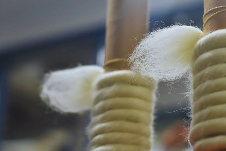 Los análisis se hacen en Rawson y Bariloche. Foto: INTA Los análisis se hacen en Rawson y Bariloche. Foto: INTA