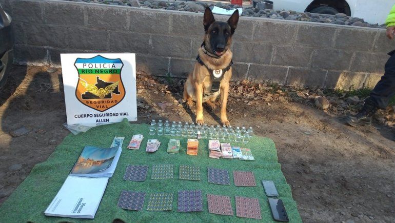 Máximo lo hizo otra vez: el perro de la Policía halló droga en un micro