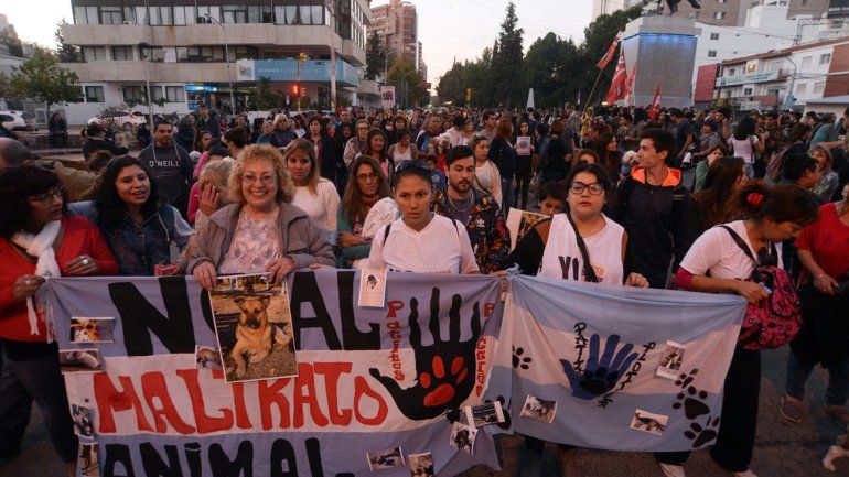 En mayo se realizó una marcha para pedir justicia por el perro atropellado.