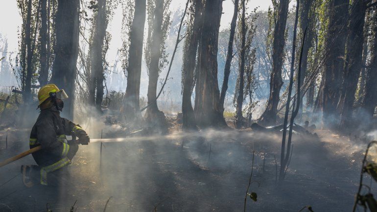 Controlaron el incendio: bomberos se quedarán en vigilia toda la noche