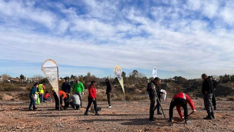 Reforestan Parque Norte con otras 60 plantas nativas