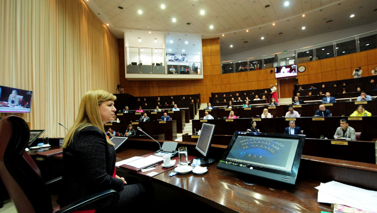 Emergencia Sanitaria: se tratará en la primera sesión extraordinaria del año