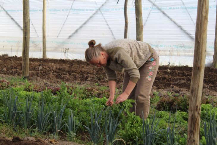 En el límite entre Centenario y Vista Alegre se la ve recorriendo la huerta. En el límite entre Centenario y Vista Alegre se la ve recorriendo la huerta.