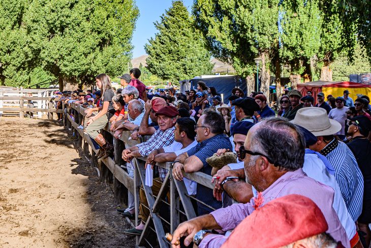 Una fiesta del campo, un paseo para toda la familia a la orilla del río Chimehuin. Foto: gentileza SRN. Una fiesta del campo, un paseo para toda la familia a la orilla del río Chimehuin. Foto: gentileza SRN.