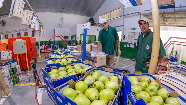 La fruta es el nicho principal de las exportaciones. Sin embargo