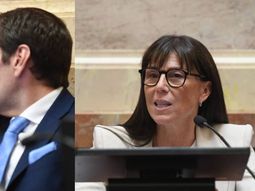 Los representantes de Neuquén emitieron sus votos.&nbsp;