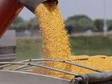 Menos trámites burocráticos para los productores agrícolas.