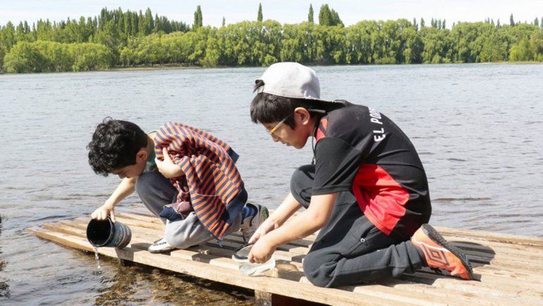 Alumnos de Plottier sembraron alevinos en el río Limay