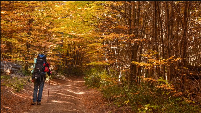 El treking ascendente al Lago Bagillt es de dificultad media. El treking ascendente al Lago Bagillt es de dificultad media.