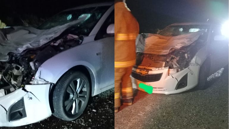 Una familia se salvó de milagro tras chocar a un caballo