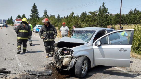 Abeja se le metió en el auto en viaje y casi termina en una tragedia