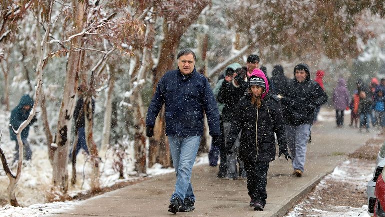 La nieve sorprendió a los neuquinos por la fuerza como hacía años no ocurría.