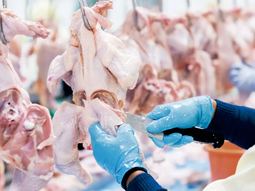 consumo de pollo supera a la carne vacuna en la dieta de los argentinos consumo de pollo supera a la carne vacuna en la dieta de los argentinos