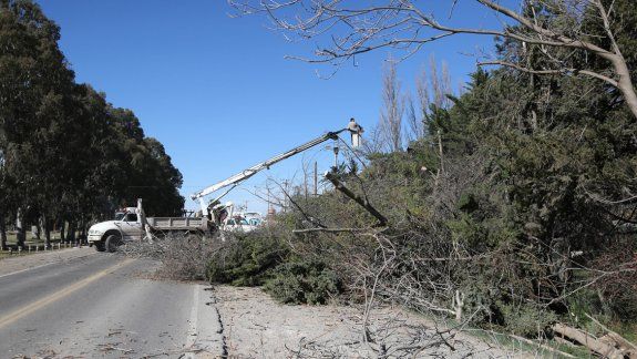Interrumpen el tránsito en la Ruta 7 por árboles caídos 