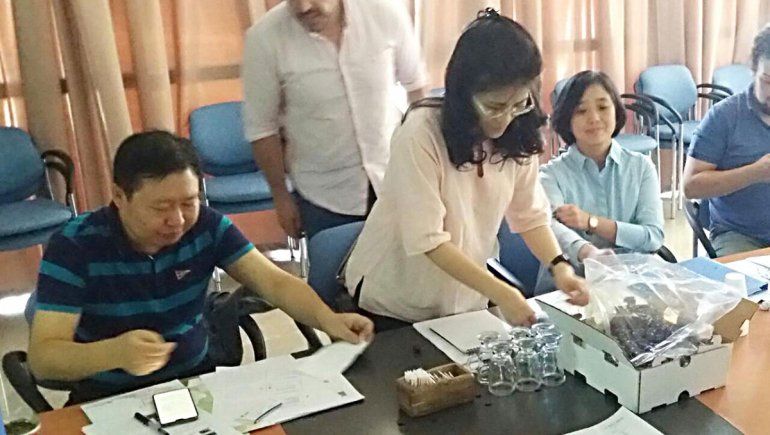 La cereza local ya tiene más chances de exportar a China