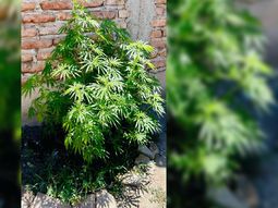 A veces los procedimientos por robos terminan con otras causas. A veces los procedimientos por robos terminan con otras causas.