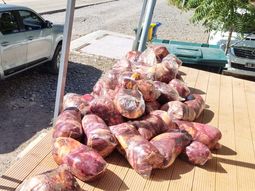 La camioneta con 390 kilogramos de carne equina y bovina que se dirigía hacia la localidad rionegrina de Catriel. La camioneta con 390 kilogramos de carne equina y bovina que se dirigía hacia la localidad rionegrina de Catriel.