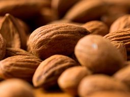 Expertos advierten que el crecimiento argentino podría redefinir el mapa regional de la almendra en los próximos años. Expertos advierten que el crecimiento argentino podría redefinir el mapa regional de la almendra en los próximos años.