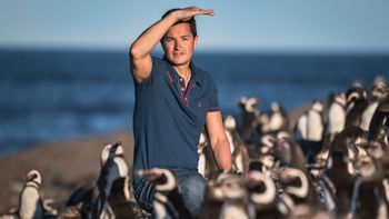 Pablo García Borboroglu, el científico que declaró en la segunda jornada del juicio por la masacre de los pingüinos de Punta Tombo. Pablo García Borboroglu, el científico que declaró en la segunda jornada del juicio por la masacre de los pingüinos de Punta Tombo.