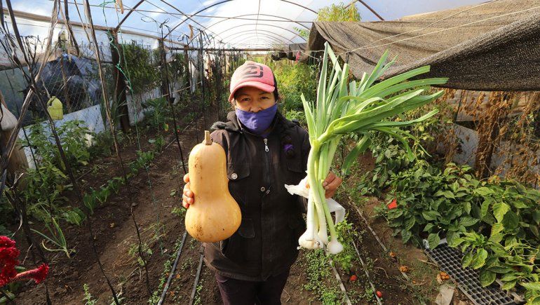 Puesto Chañar: la usina de emprendedores agroalimentarios de la región