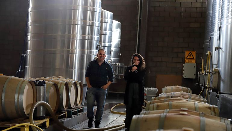 La increíble historia del viñedo neuquino que salvaron los zorros y florece en la arena