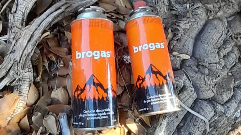 El hallazgo generó preocupación por las posibilidades de un incendio en la zona cordillerana. | LM Neuquen El hallazgo generó preocupación por las posibilidades de un incendio en la zona cordillerana.