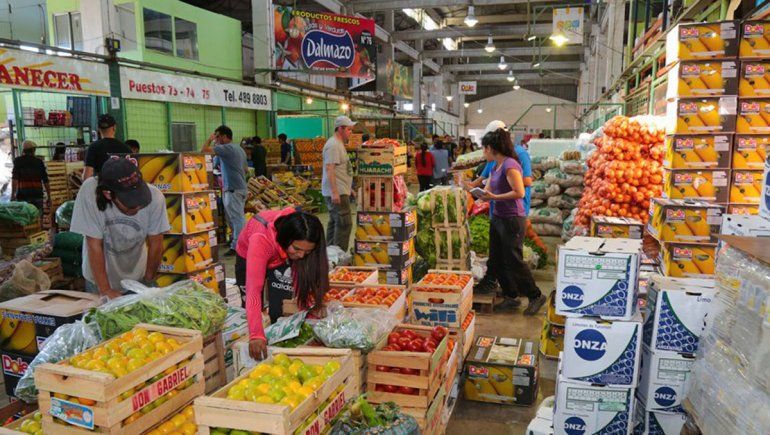 Operadores aseguran puestos en el Mercado Concentrador