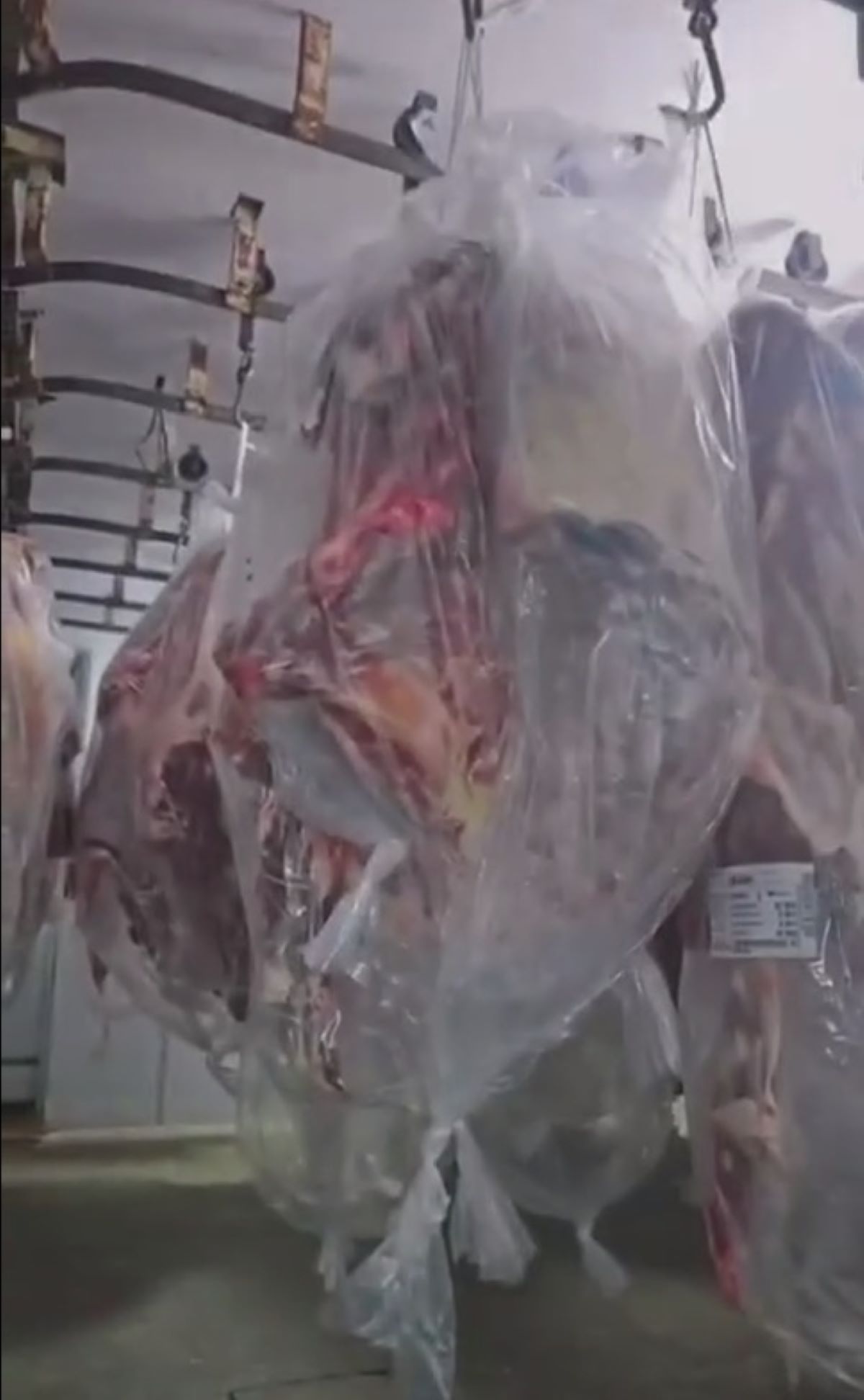 Comenzó a llegar la carne con hueso del norte de la berrera. ¿Cumple con los requisiitos de la resolución del SENASA?
