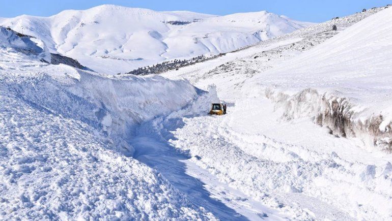 Hace nueve días que el paso Pino Hachado está cerrado