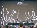 Jungle y Miranda! trajeron el sol y la noche del sábado en Lollapalooza Argentina