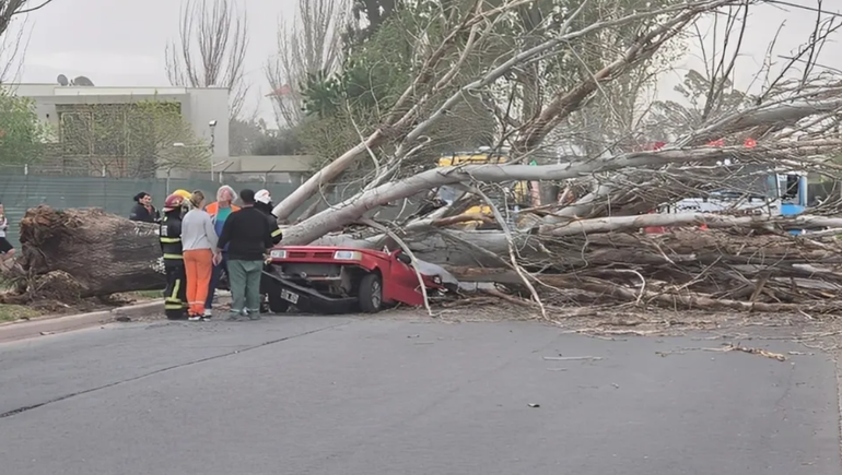 El temporal de viento causó una tragedia en Mendoza / Foto Los Andes