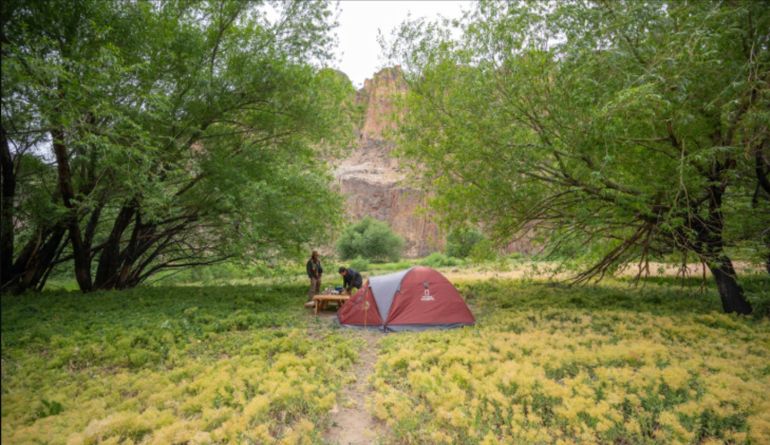 Las reservas de parcelas en el Parque Patagonia se pueden hacer por Whatsapp. Las reservas de parcelas en el Parque Patagonia se pueden hacer por Whatsapp.