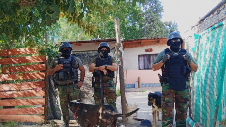 Cipolletti: secuestraron dos kilos de marihuana y más de 50 plantas