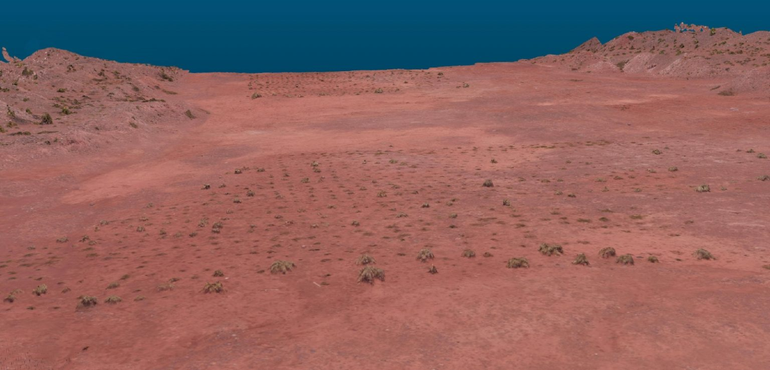 Avance de la desertificación en la provincia de Neuquén.