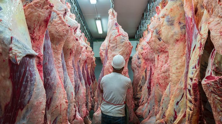 Las exportaciones de carne vacuna desde la Patagonia se mantienen en niveles muy bajos.