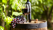 la filosofia del vino: los vinos de montana versus los vinos del llano