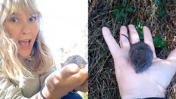 La influencer mostró el momento en redes sociales y generó polémica. Foto: Gentileza. | LM Neuquen La influencer mostró el momento en redes sociales y generó polémica. Foto: Gentileza.