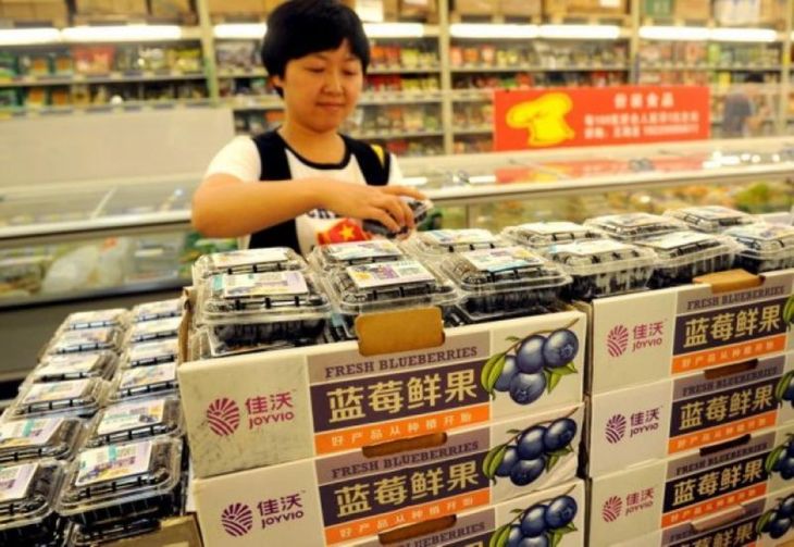 La creciente demanda de Asia impulsa una expansión histórica del arándano y acelera la producción global.